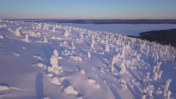 Imagens impressionantes de drones de uma passagem de montanha em uma floresta coberta de neve. O drone voa sobre o passo de montanha cercado por uma floresta depois que a neve fresca cai no inverno profundo — Vídeo de Stock