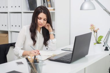 iş kadını ile defter ofis, işyeri