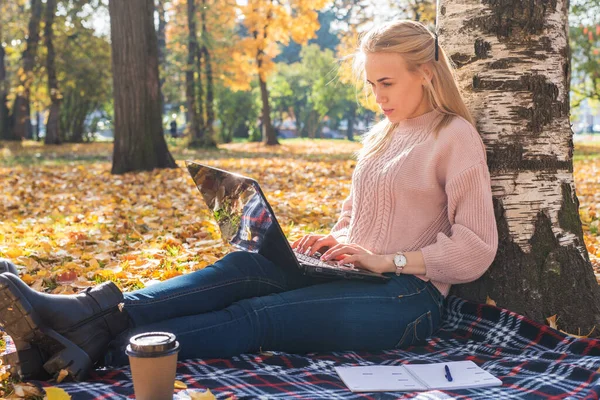 Une Jeune Femme Travaille Dans Parc Tapant Sur Ordinateur Portable — Photo