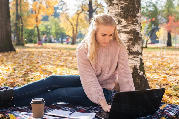 Una Joven Trabaja Parque Escribiendo Portátil —  Fotos de Stock