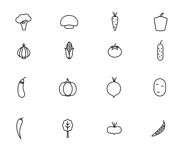 Iconos de verduras con fondo blanco. Ilustración vectorial — Vector de stock
