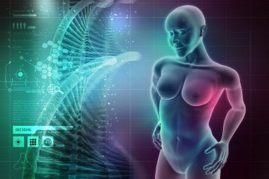 kadın insan vücudu