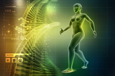 Kadın bedeninin içinde hareket