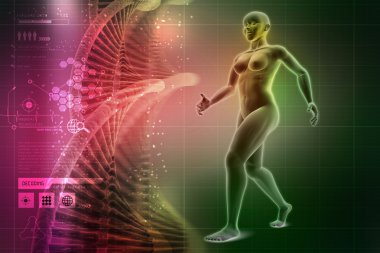 Kadın bedeninin içinde hareket