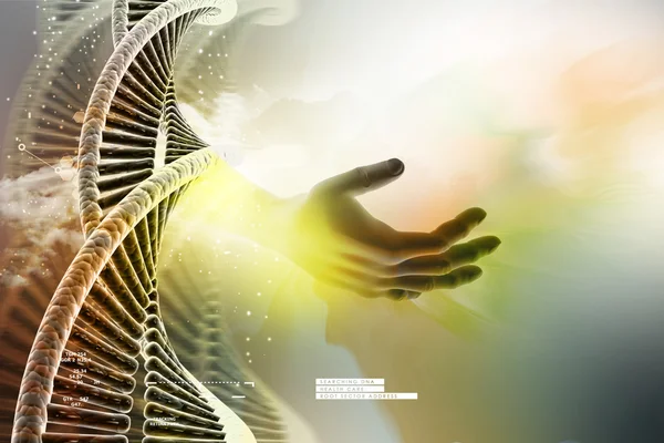 DNA chain and hand — Stock Photo, Image