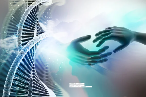 DNA chain and hands — Stock Photo, Image