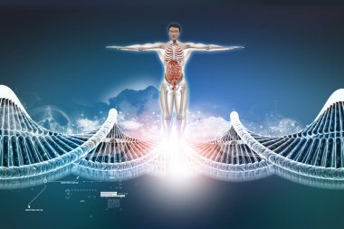 Dna ile insan anatomisi