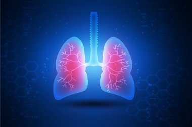 Human lungs icon clipart