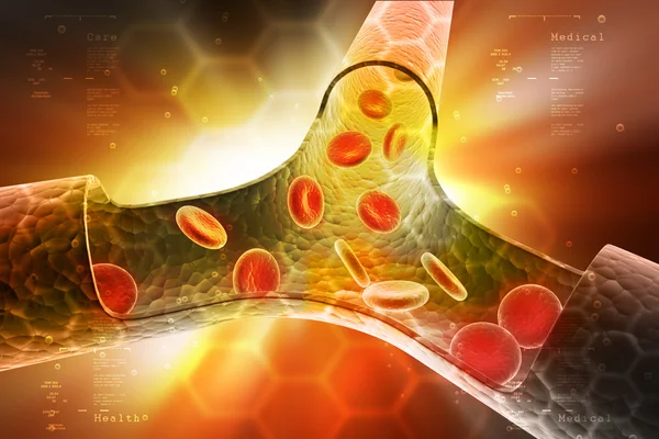 insan gemi ile trombosit