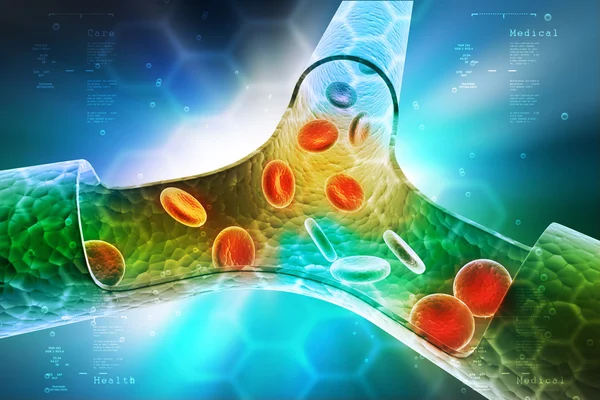 Menselijke schepen met bloedplaatjes — Stockfoto