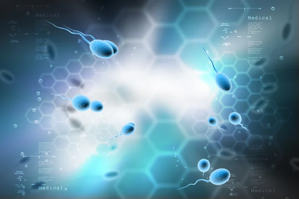 sperm yumurtayı gidiyor