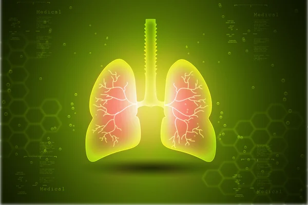 İnsan akciğerleri simgesi