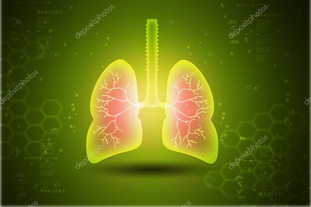 Cartoon lungs Stock Photos, Royalty Free Cartoon lungs Images | Depositphotos Cartoon lungs Stock Photos, Royalty Free Cartoon lungs Images | Depositphotos