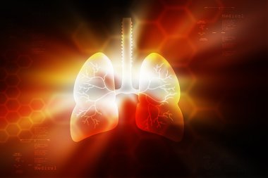insan akciğerleri sağlık kavramı