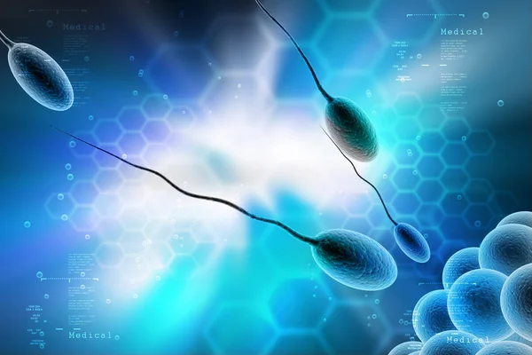 Sperm and egg cell concept — Stock Photo, Image