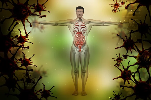 Concepto médico del cuerpo humano — Foto de Stock