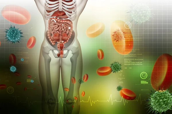 Concepto médico del cuerpo humano —  Fotos de Stock