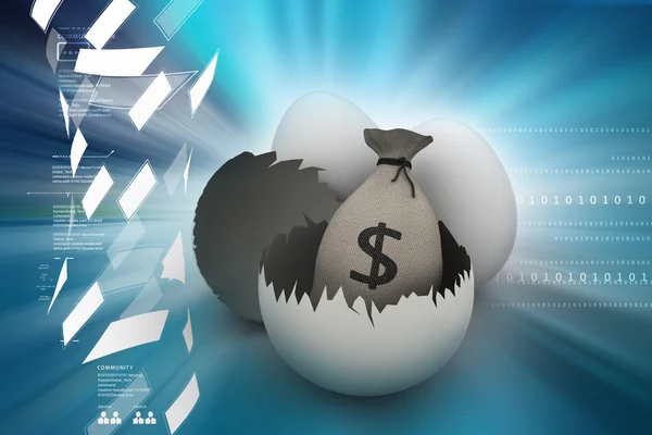 Saco de dinheiro em ovo — Fotografia de Stock