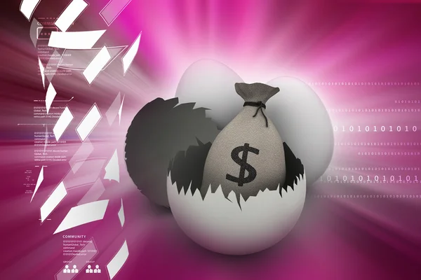 Pytlík s penězi v vejce — Stock fotografie