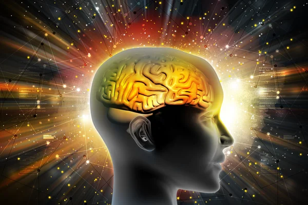 Brain in human head — Stock Photo, Image