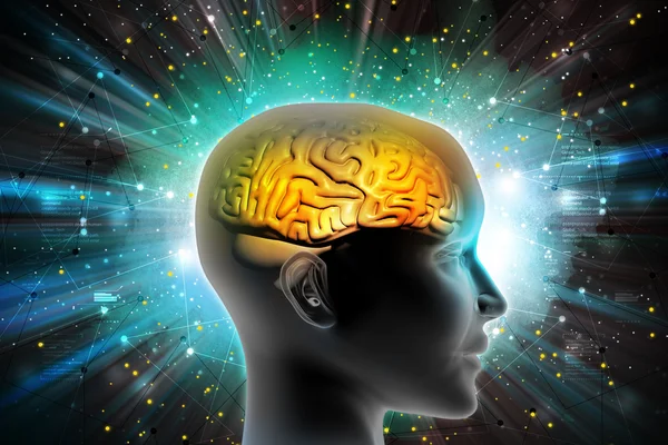 İnsan kafası beyinde