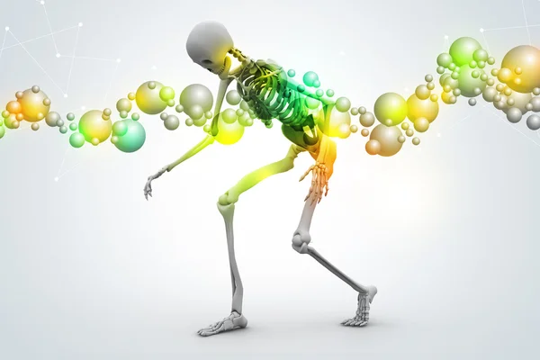 Скелет человека на фоне пузырьков — стоковое фото