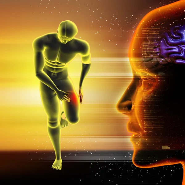 insan baş ve vücut