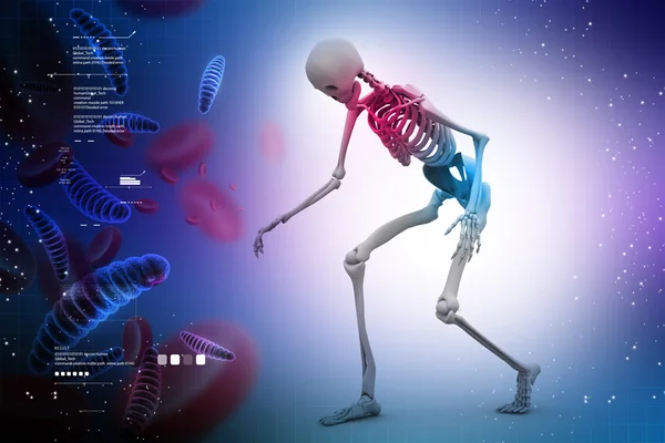 Скелет и клетки человека — стоковое фото