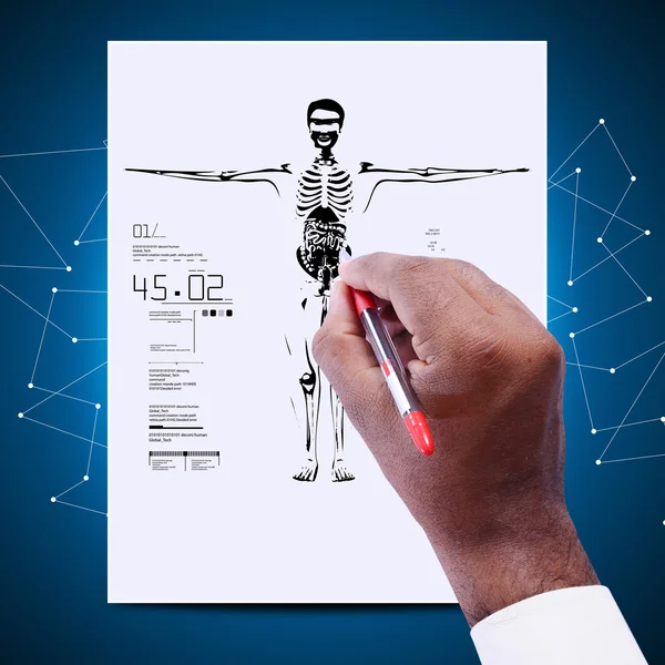 Médecin avec diagramme du corps humain — Photo