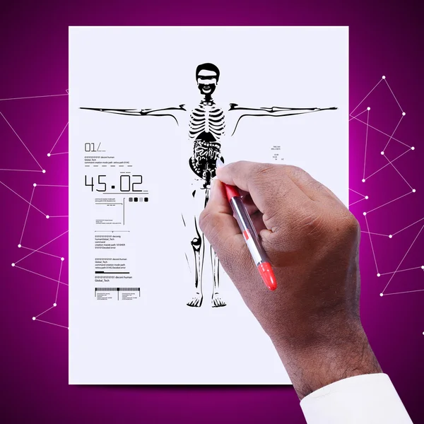 Doctor with human body diagram — Stock Photo, Image