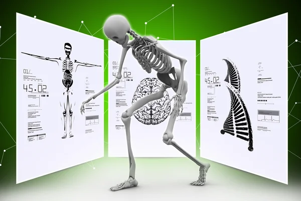 Human skeleton and cards — Stock Photo, Image