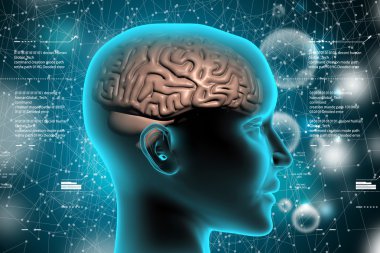 İnsan kafası beyinde