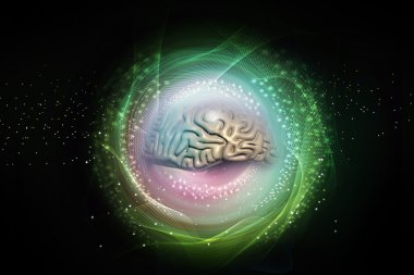 İnsan beyni tasarımı