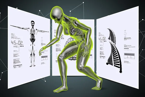 Human body medical concept — Stock Photo, Image