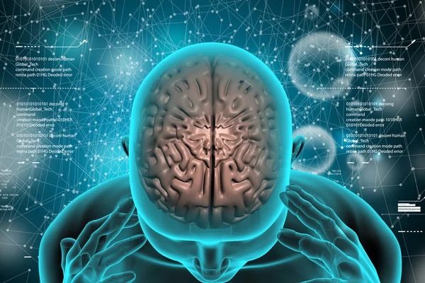 Mozek v lidské hlavě — Stock fotografie