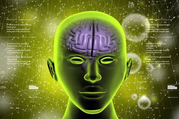 Brain in human head — Stock Photo, Image