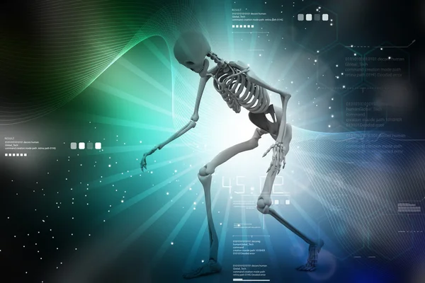 Tıbbi geçmişi üzerinde insan iskeleti — Stok fotoğraf
