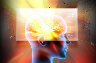 İnsan kafası beyinde