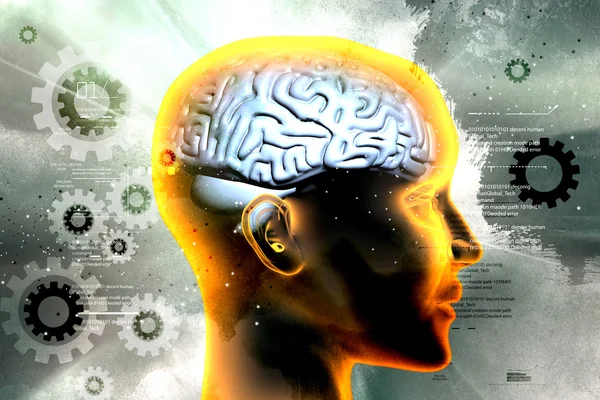 Gehirn im menschlichen Kopf — Stockfoto