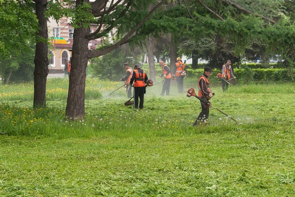 Рабочие косили траву бензотриммерию — стоковое фото