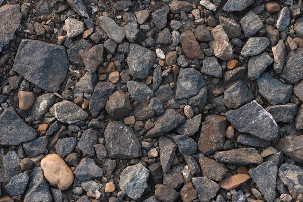 Sparsi sulle pietre del suolo — Foto Stock