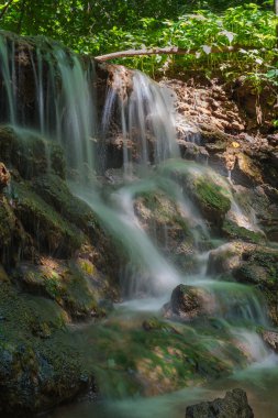 Bir yaz ormanda düşer