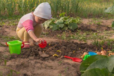 Çocuk yeşil soğan bahçede koyar.
