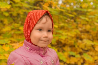 arka plan bir sonbahar ormanda kız