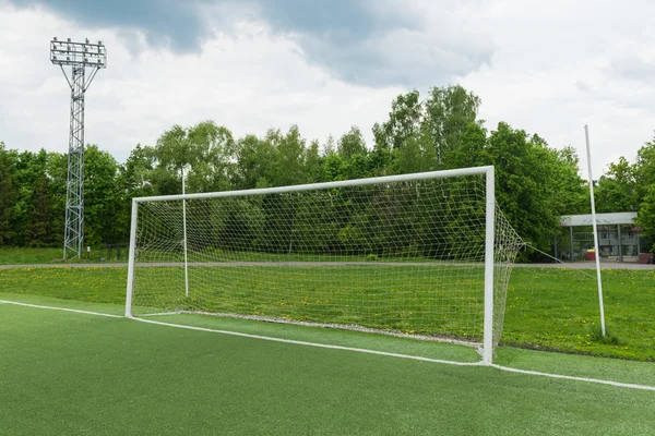 football goal on the forest background