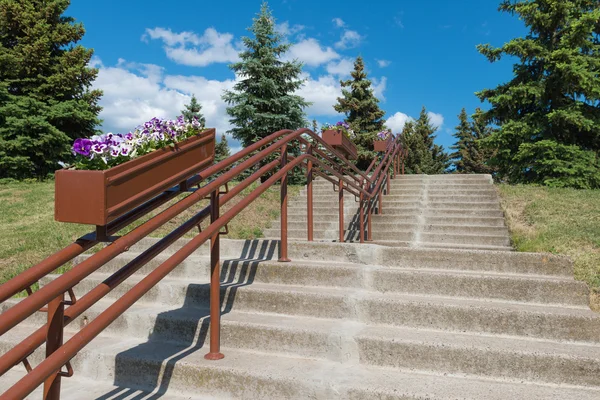 Escadas para a colina com as grades e flores — Fotografia de Stock