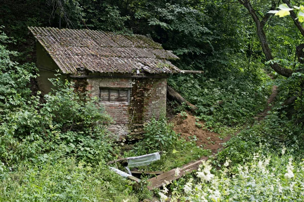 被遗弃的小屋在茂密的森林峡谷与春天 — 图库照片