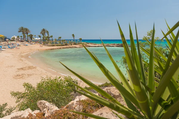 Deniz kıyısındaki kumsal