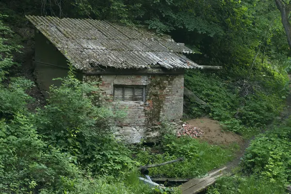 森林里有一个春天的废弃房屋 — 图库照片