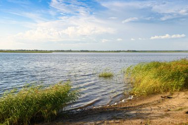Kumlu bir nehir kıyısında yaz manzarası